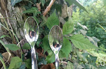 sito spoon piccola